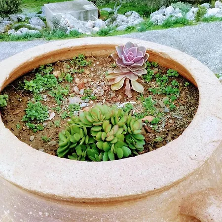 Akropolis Ξενοδοχείο με διαμερίσματα